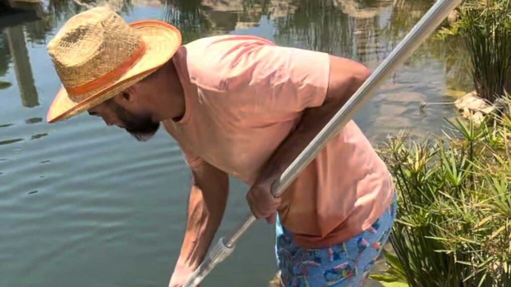 A Living Water Garden You’ll Enjoy Caring For