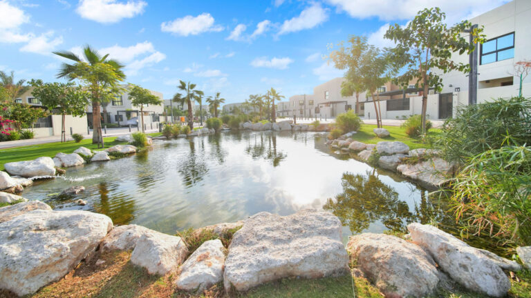 How Ponds Help Us Beat the Heat