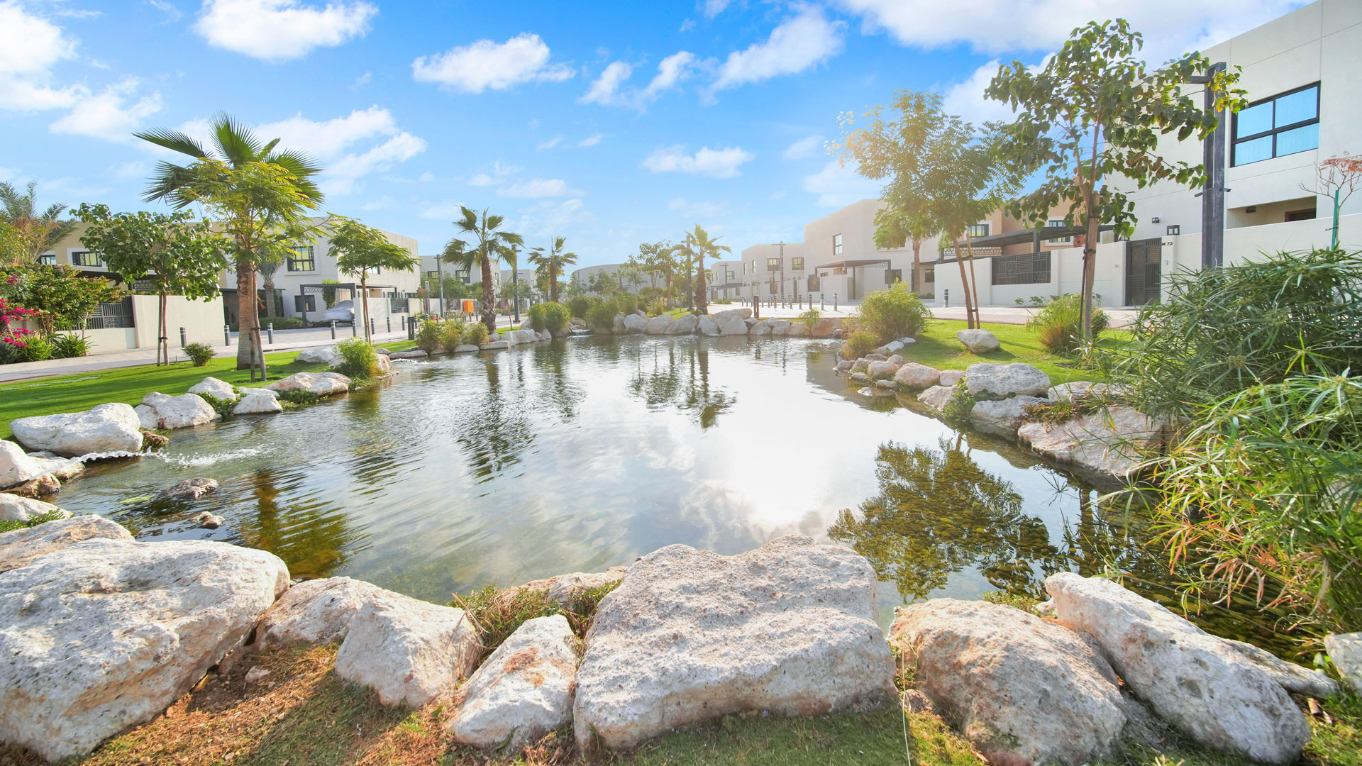 How Ponds Help Us Beat the Heat